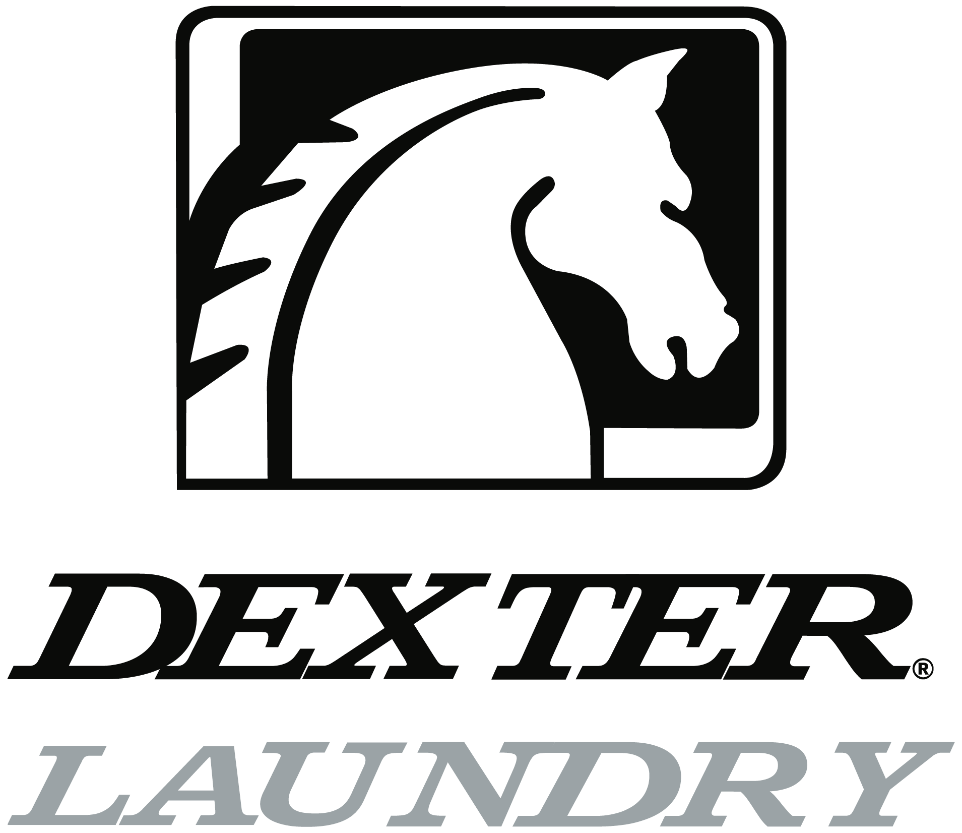 Dexter Laundry